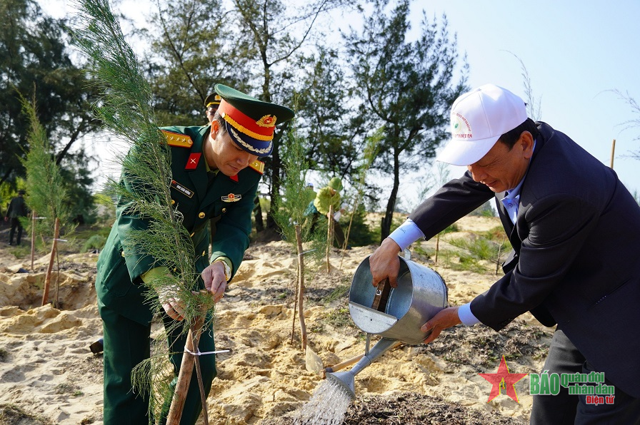 Tỉnh Quảng Bình trồng khoảng 9.000ha rừng tập trung trong năm 2024